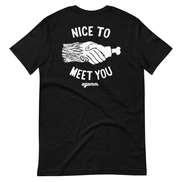 Nice to Meet You